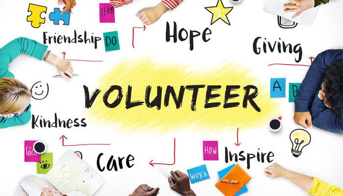 Political Election Campaign Services